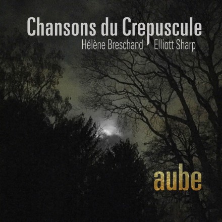 aube now released from Hélène Breschand and Elliot Sharp